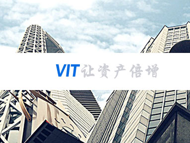 VIT全球资产配置